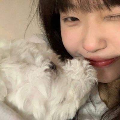 BOB体育登录APP下载截图